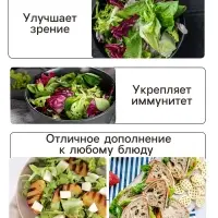 Семена Бэби салат &laquo;Греческое удовольствие&raquo;, смесь, 0.5 г, &laquo;Аэлита&raquo;