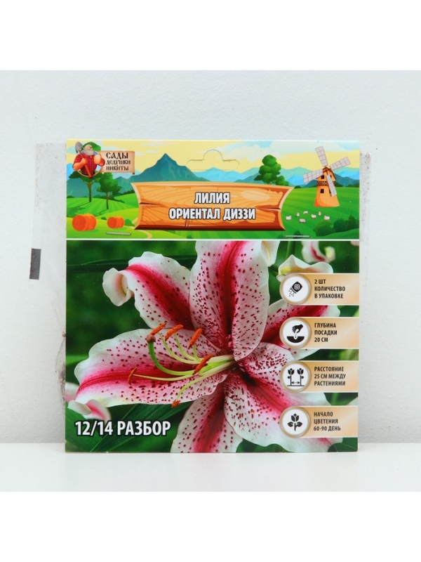 Лилия «Ориентал Диззи», луковица в пакете с перфорацией, р-р 14/16, 2 шт.