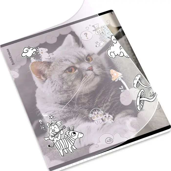 Тетрадь 48 листов в клетку ErichKrause Dream Cat, 60 г/м&sup2;, обложка мелованный картон, МИКС