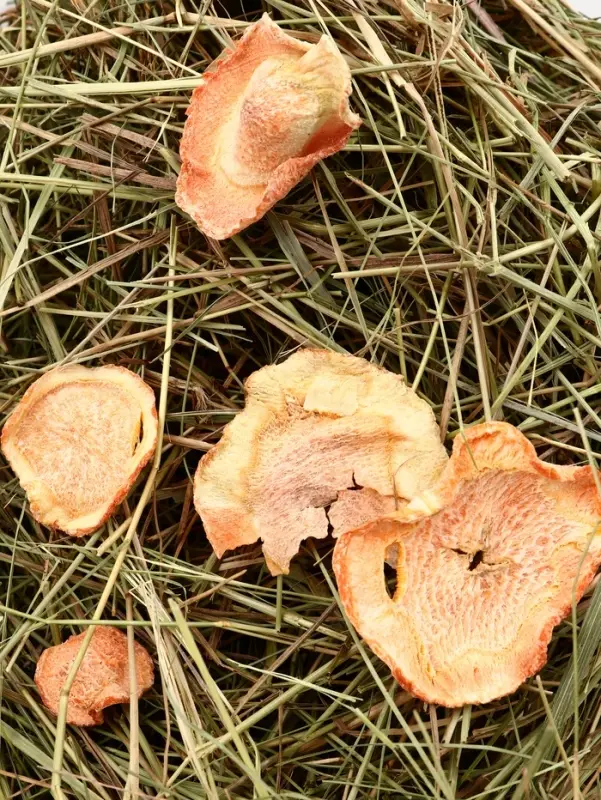 Сено луговое «Зверьё Моё», отборное, ароматное, зеленое, без пыли яблоко, морковь, 500 г Сено луговое «Зверьё Моё», отборное, ароматное, зеленое, без пыли яблоко, морковь, 500 г