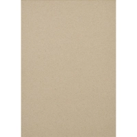 Картон цветной Выбор есть Отличник 10л 10цв А4 немелован.пакет