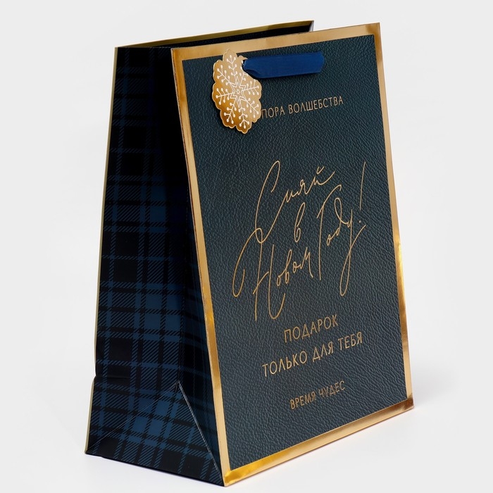 Пакет подарочный новогодний ламинированный «Сияй в Новом Году», 25,4 х 30,5 х12,7 см