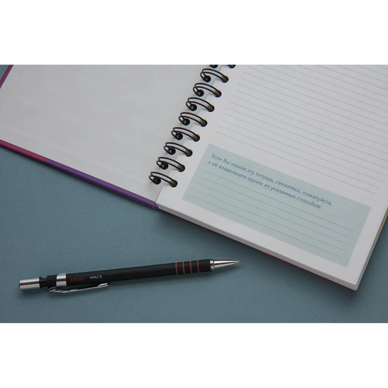 Бизнес-тетрадь Ambition 5,А5,150л,148х205,5разд,клет+лин,сер полос,0005