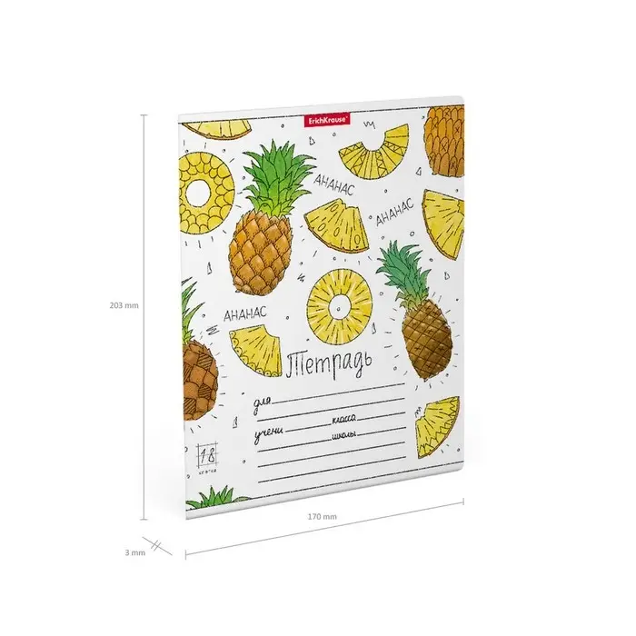 Тетрадь 18 листов в клетку ErichKrause &laquo;Яркие дольки&raquo;, обложка мелованный картон, МИКС