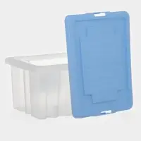 Ящик для хранения Darel-box, 18 л, 40&times;30&times;21 см, с крышкой, МИКС