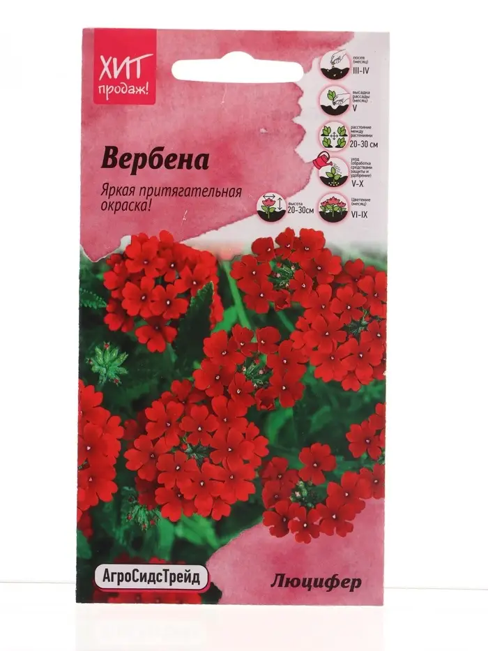 Семена цветов Вербена Люцифер для бордюра 0,05г