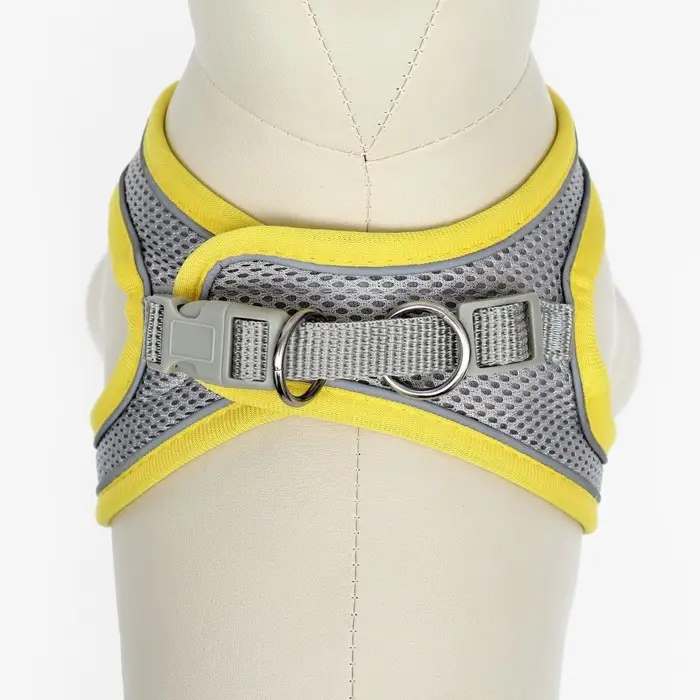 Шлейка с поводком, размер XXS, ОШ 24-26 ОГ 28-30 см, поводок 150&times;1.5 см, быстросъёмная, мягкая, жёлтая