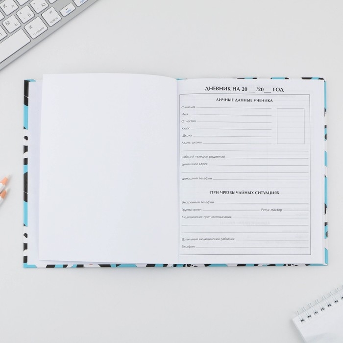 Дневник школьный 5-11 класс «Панды», твердая обложка 7БЦ, глянцевая ламинация, 48 листов Дневник школьный 5-11 класс «Панды», твердая обложка 7БЦ, глянцевая ламинация, 48 листов