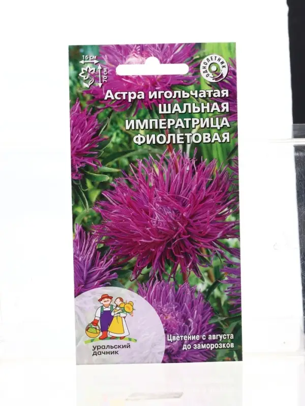 Семена Цветы Астра игольчатая Шальная императрица фиолетовая (УД) Е/П , Е/П,  0,2 г.