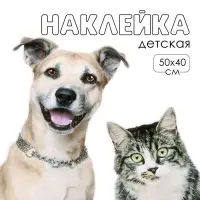 Интерьерная наклейка 3Д TAKE IT EASY &laquo;Домашние питомцы рады&raquo;, 50&times;40 см