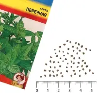 Семена Мята &laquo;Перечная&raquo;, 0.03 г, &laquo;Урожай удачи&raquo;
