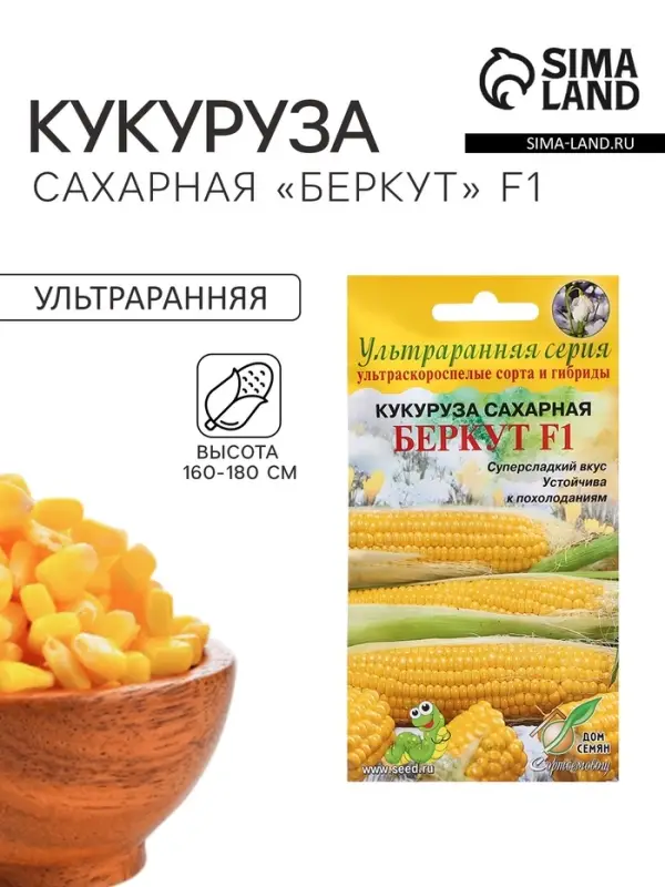 Семена Кукуруза сахарная &laquo;Беркут&raquo;, F1, 8 шт., ультраранняя, &laquo;Дом семян&raquo;