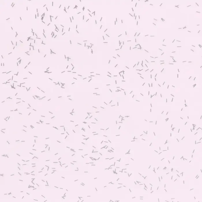 Пленка для цветов, "Звёздное небо", розовый, 57х57 см