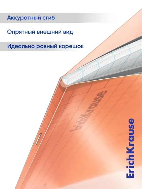 Тетрадь 24 листа в клетку ErichKrause &laquo;Классика CoverPro Neon&raquo;, пластиковая обложка, оранжевая