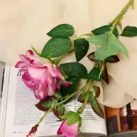 Цветы искусственные &laquo;Роза душистая&raquo;, 9&times;50 см, бело-сиреневый МИКС