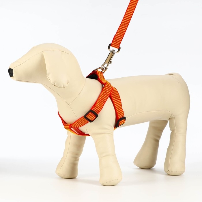 Комплект амуниции рельефный, 2 см, поводок 120 см,красно-жёлтый