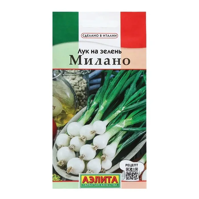 Семена Лук на зелень  Семена Лук на зелень "Милано", 0,5 г