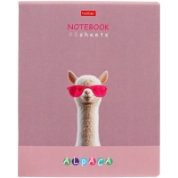 Тетрадь 48л кл "ALPACA", обл мел карт, скругл углы, лам Soft-touch, офс 60-65г/м², 5В МИКС