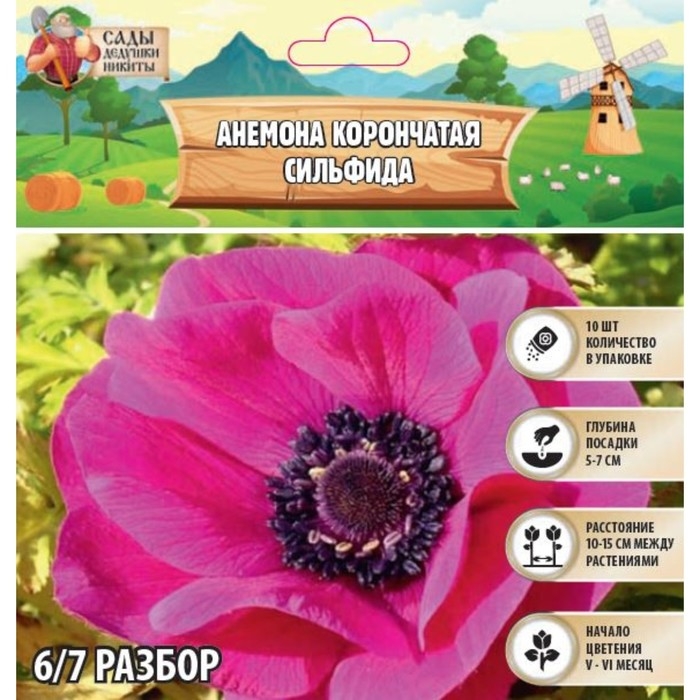 Анемона корончатая Анемона корончатая "Сильфида", р-р 6/7, 10 шт,