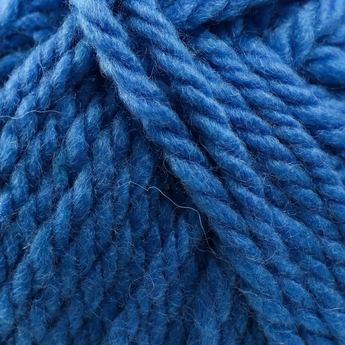 Пряжа Пряжа "Осенняя" 25% шерсть, 75% ПАН 150м/200гр (98-Лесной колокольч.)