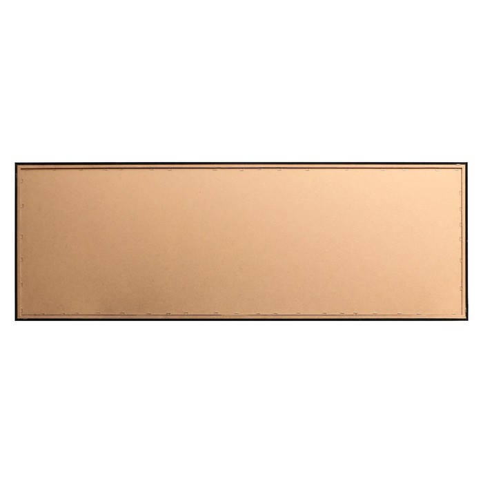 Картина  Картина "Орхидеи на чёрных камнях" 57*157 см рамка МИКС