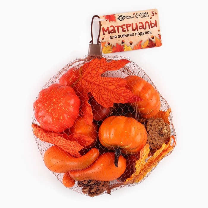 Набор для творчества &laquo;Осенние поделки&raquo;, в сетке