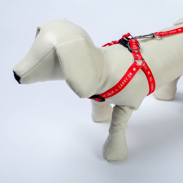 Комплект Keep calm & carry on, шлейка 36-49 см, поводок 120х1,5 см Комплект Keep calm & carry on, шлейка 36-49 см, поводок 120х1,5 см