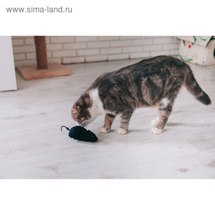 Мышь заводная меховая, 12 см, чёрная Мышь заводная меховая, 12 см, чёрная