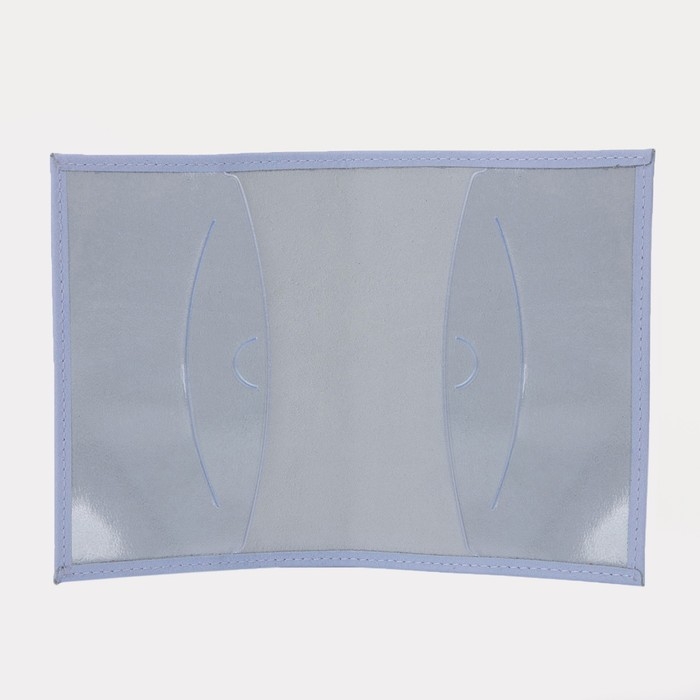 Обложка для паспорта, цвет голубой