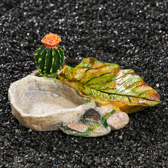 Кормушка для террариума, 14,5 х 13 х 7 см Кормушка для террариума, 14,5 х 13 х 7 см