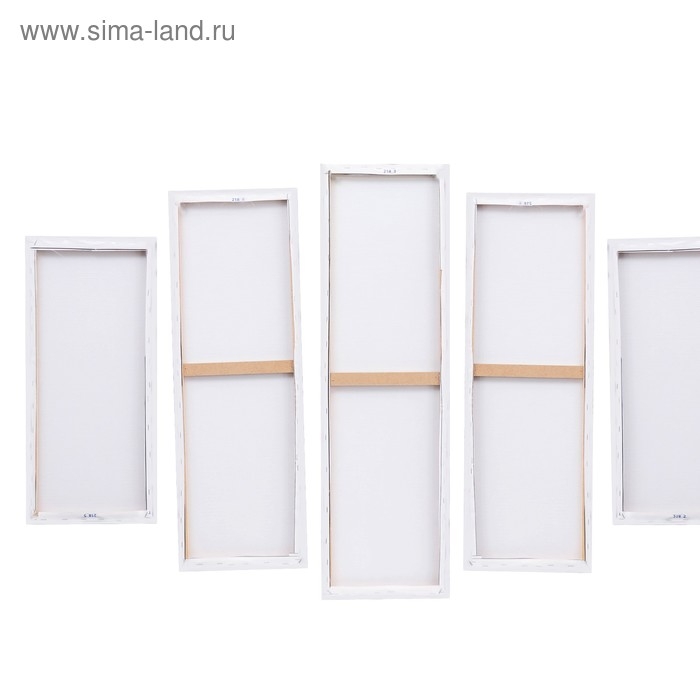 Модульная картина "Белые орхидеи" (2-23х52; 2-24х70; 1-24х80) 120х80см