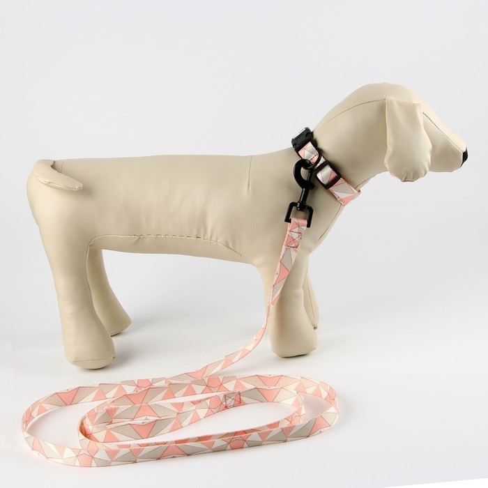 Набор &laquo;Ромбы&raquo;, застёжка - фастекс, поводок 2 м и ошейник 28-46 см