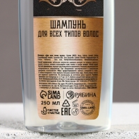 Подарочный набор косметики новогодний «Настоящему мужику», гель для душа и шампунь для волос, 2 х 250 мл, Новый Год