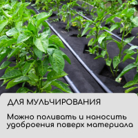 Материал для ландшафтных работ, 5 × 3,2 м, плотность 120 г/м², спанбонд с УФ-стабилизатором, чёрный, Greengo, Эконом 30%