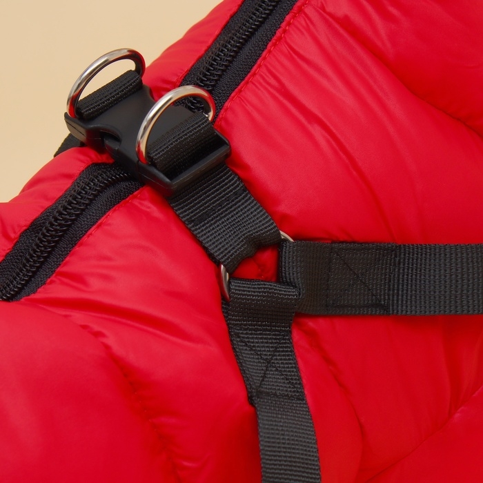 Комбинезон для собак со шлейкой Комбинезон для собак со шлейкой "Моден", размер 22 (ДС 41, ОГ 60, ОШ 43 см), красный