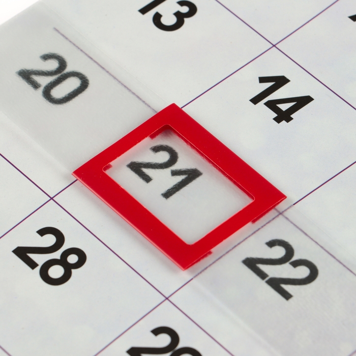 Календарь перекидной на скрепке Календарь перекидной на скрепке "Символ года - 6" с курсором, 2025 год, 29 х 29 см