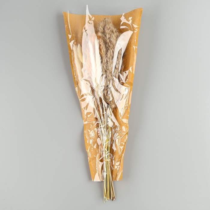 Сухоцветы «Изящность», набор из 5 видов, 48 × 16 × 6 см Сухоцветы «Изящность», набор из 5 видов, 48 × 16 × 6 см