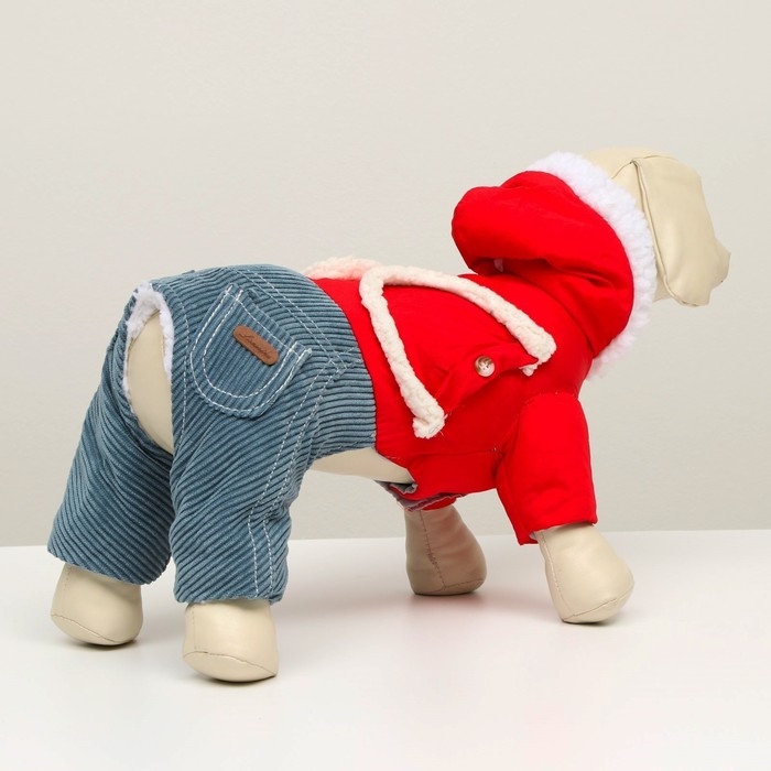 Комбинезон Комбинезон "Малыш", размер 12 (ДС 28 см, ОГ 38 см, ОШ 27 см), красно-серый