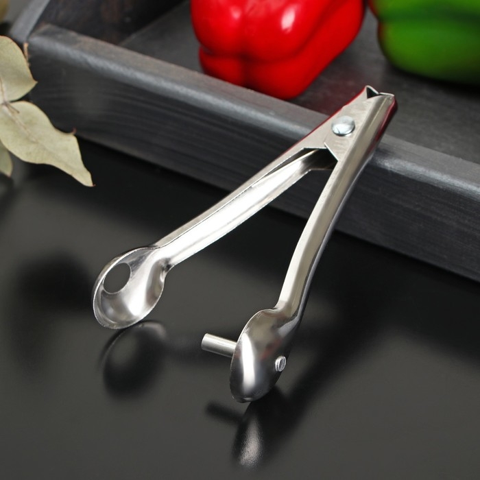 Удалитель косточек Доляна «Классик», 13 см Удалитель косточек Доляна «Классик», 13 см