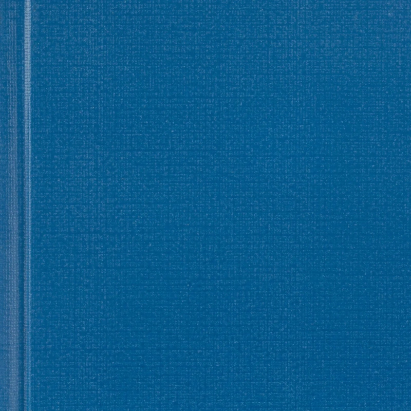 Ежедневник недатированный А5 Выбор есть Джерси, синий, 160 л