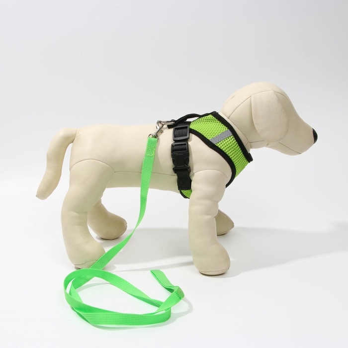 Шлейка дышащая с поводком и светоотражающей нашивкой, M, ОШ 33, ОГ 32-43, зеленая Шлейка дышащая с поводком и светоотражающей нашивкой, M, ОШ 33, ОГ 32-43, зеленая