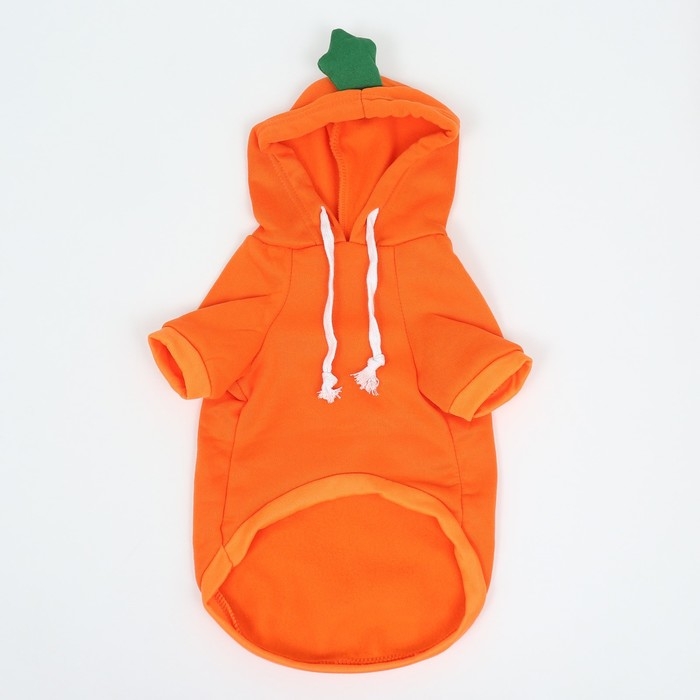 Толстовка Толстовка "Любимая морковка", размер S (ДС 25, ОГ 38см)