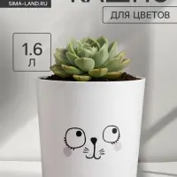 Кашпо для цветов &laquo;Мордочка&raquo;, 1.6 л, d=14 см, h=14 см, пластиковое