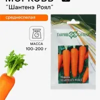 Семена Морковь &laquo;Шантенэ Роял&raquo;, 25 г, &laquo;Гавриш&raquo;
