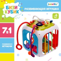Развивающая игрушка «Бизикубик»