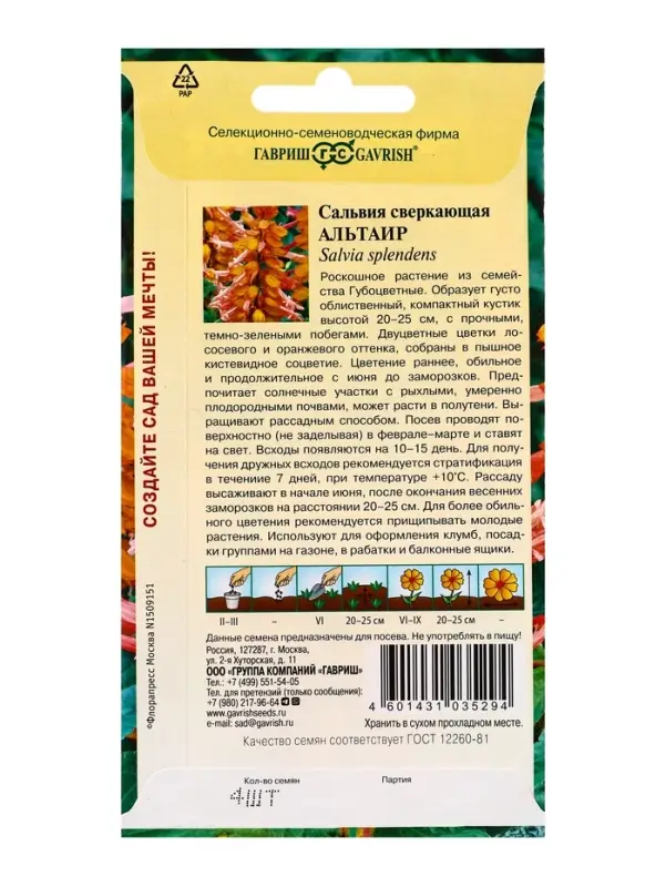 Семена цветов Сальвия Альтаир*, карликовая 4 шт.