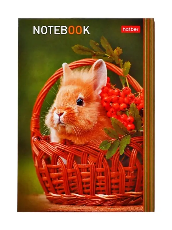 Блокнот А6 24 листа в клетку, на скобе &laquo;В мире животных&raquo;, МИКС