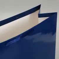 Пакет подарочный ламинированный горизонтальный "Синий", XL 49 &times; 40 &times; 19 см