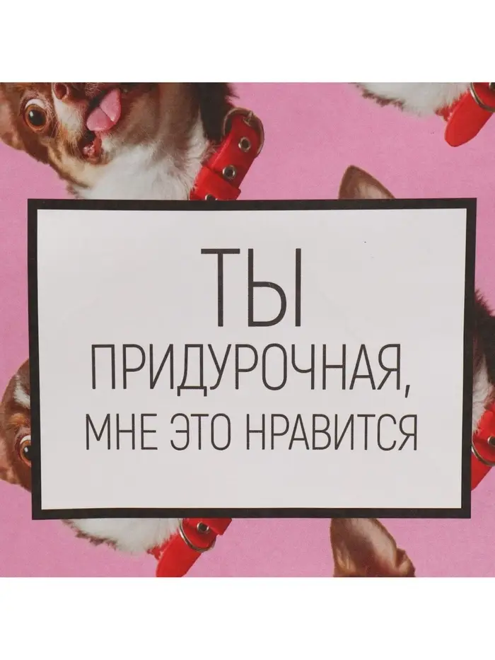 Пакет подарочный, упаковка, &laquo;Киса&raquo;, 22&times;22&times;11 см