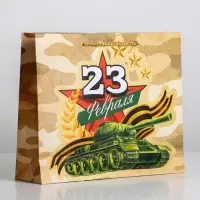 Пакет подарочный ламинированный, упаковка, &laquo;С 23 февраля&raquo;, ML 25&times;21&times;8 см